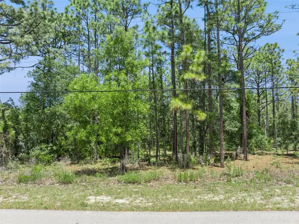 1797 W UNION ST, Hernando, FL 34442