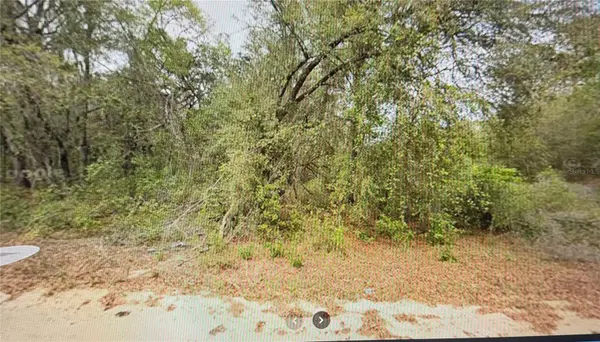 00 ELIZABETH CI, Interlachen, FL 32148