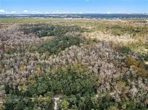 8245 KEEFER TRL, Kissimmee, FL 34747