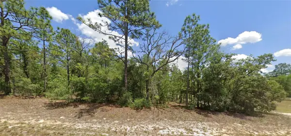 9857 N LATHYRUS TER, Dunnellon, FL 34433