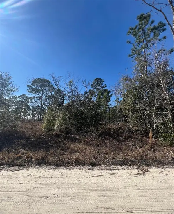 TBD SE 186 TER, Morriston, FL 32668