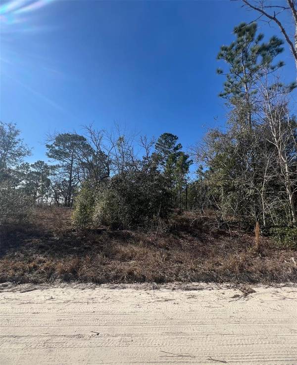 TBD SE 186 TER, Morriston, FL 32668