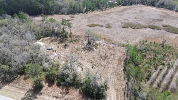 E HWY 316, Citra, FL 32113