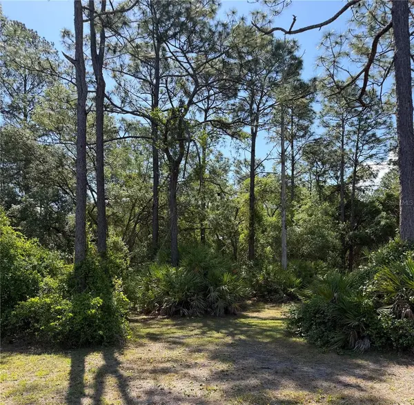 SE 180TH AVENUE RD, Ocklawaha, FL 32179