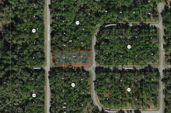 2054 E CITRUS SPRINGS BLVD, Citrus Springs, FL 34434