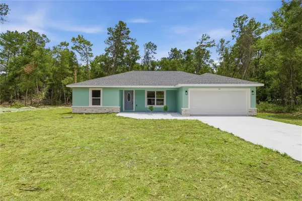 10 BAY LN, Ocklawaha, FL 32179