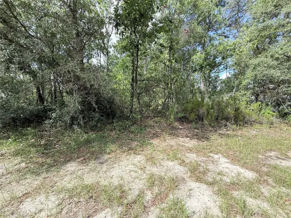 TBD SW 65TH AVENUE RD, Ocala, FL 34473