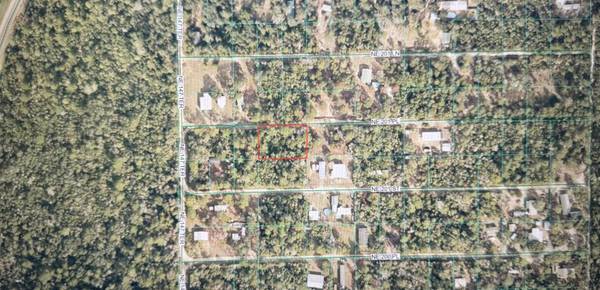 TBD NE 201ST PL,  Fort Mc Coy,  FL 32134