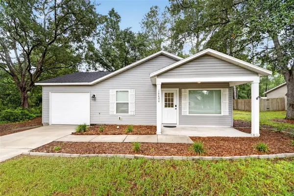 16640 SE 59TH PL, Ocklawaha, FL 32179
