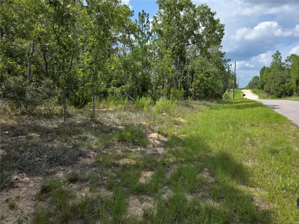 0000 NE 150TH AVE, Williston, FL 32696