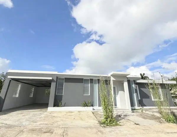 PR 452 GUAJATACA, Lares, PR 00669