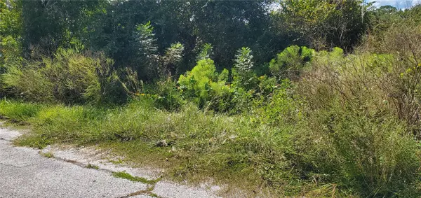 SEBRING CT, Poinciana, FL 34759