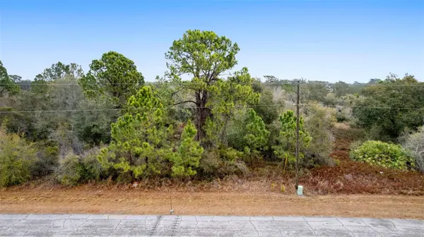 1519 MEDITERRANEAN DR, Poinciana, FL 34759