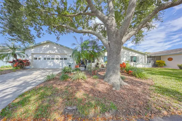 1318 LELAND DR, Sun City Center, FL 33573