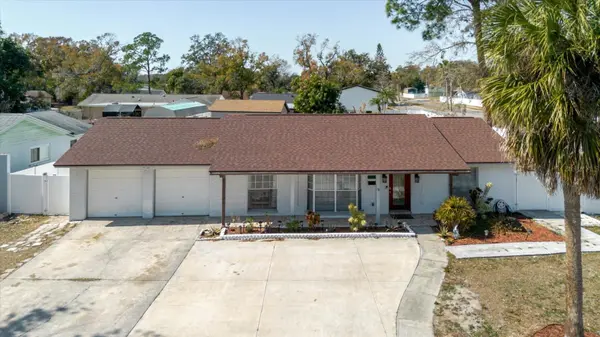 7008 MINTWOOD CT, Tampa, FL 33615