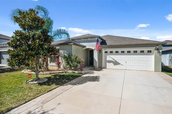 10387 SCARLET SKIMMER DR, Riverview, FL 33578