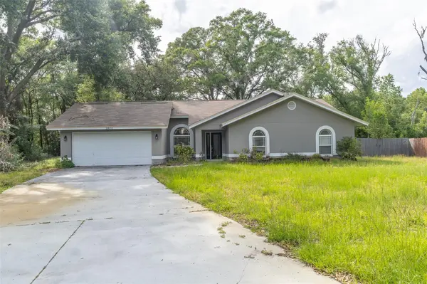 2402 PRAIRIE PL, Lutz, FL 33549