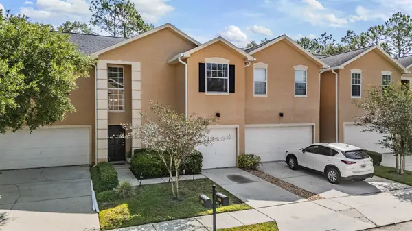 16309 WORCHESTER PALMS CT, Tampa, FL 33647