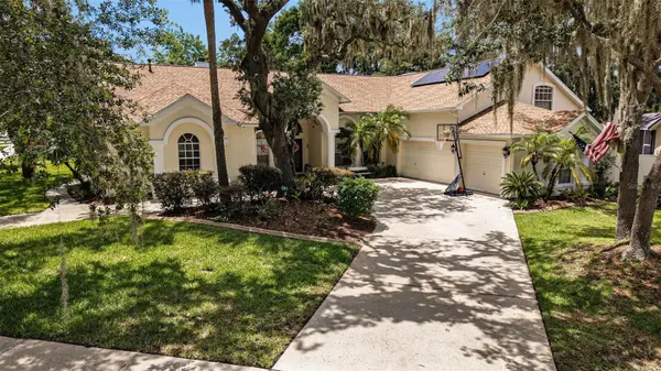 2528 CENTENNIAL FALCON DR,  Valrico,  FL 33596