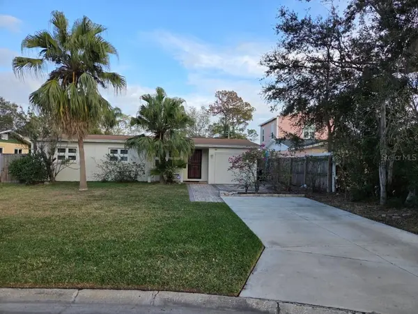 3919 HARRISBURG ST NE, St Petersburg, FL 33703