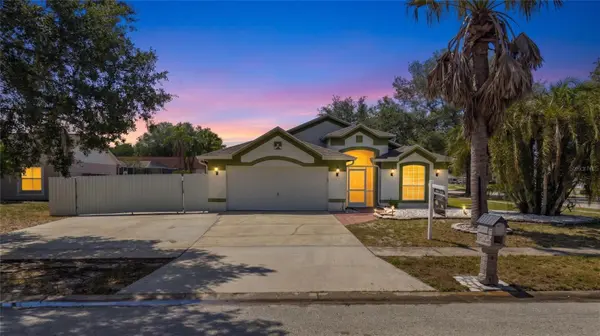10536 SALISBURY ST, Riverview, FL 33569