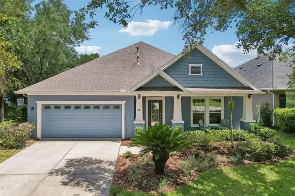 15863 STARLING WATER DR, Lithia, FL 33547