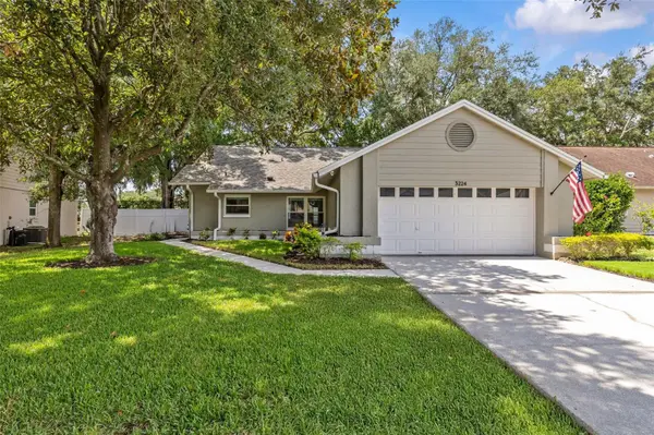 3224 MONTROSE CIR, Palm Harbor, FL 34684