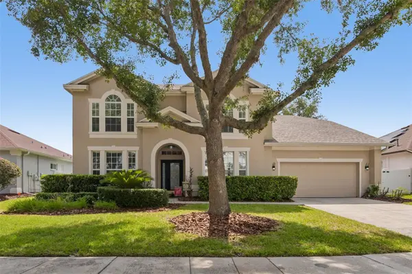 18116 SUGAR BROOKE DR, Tampa, FL 33647