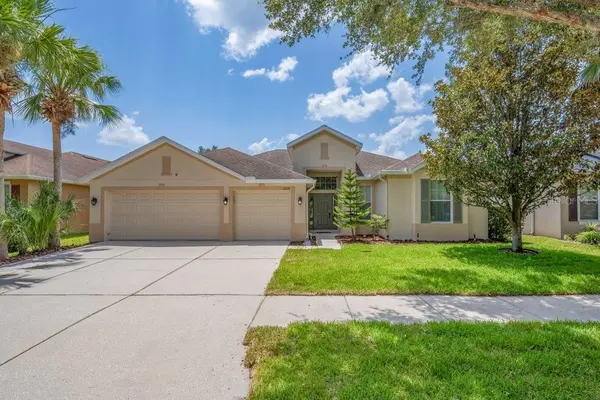 11109 WEMBLEY LANDING DR, Lithia, FL 33547