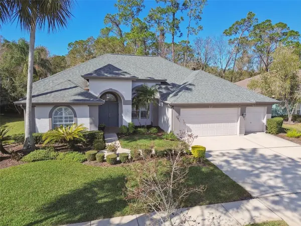 10524 GREENCREST DR, Tampa, FL 33626