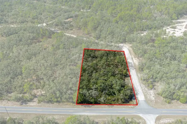 00 SHORTSTONE DR, Webster, FL 33597
