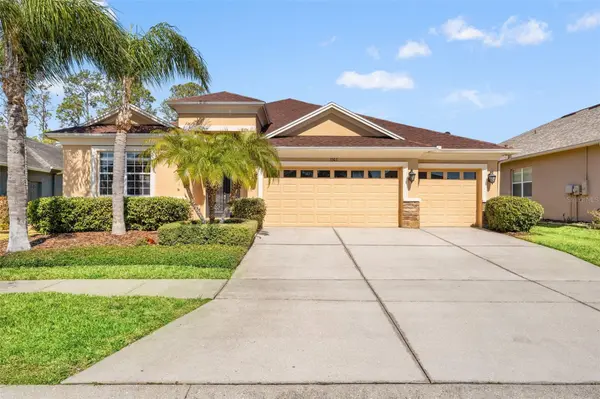 3303 STONEGATE FALLS DR, Land O Lakes, FL 34638