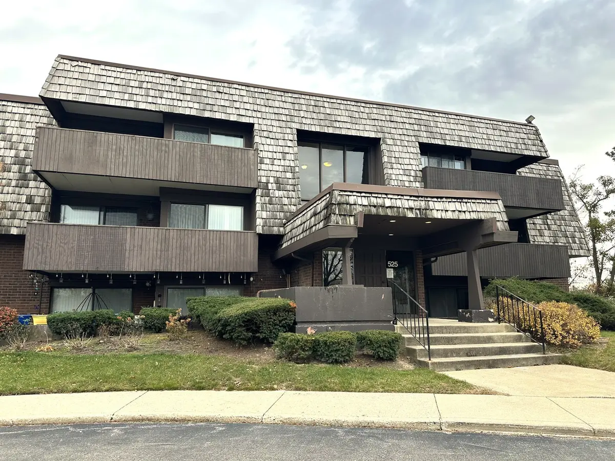 525 Timber Ridge DR #107, Carol Stream, IL 60188