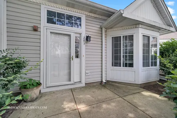 203 E Victoria CIR #203, North Aurora, IL 60542