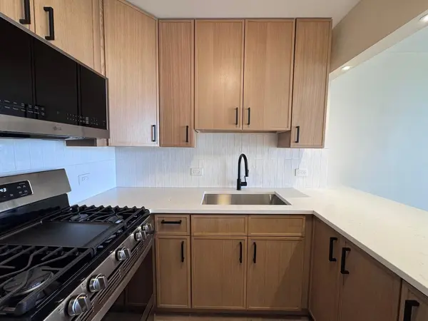 2901 S MICHIGAN AVE #2109, Chicago, IL 60616