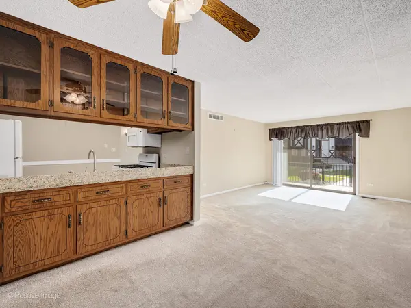 10522 Palos PL #C, Palos Hills, IL 60465