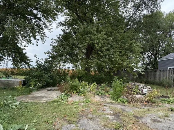 315 N Eldon ST, Cisco, IL 61830
