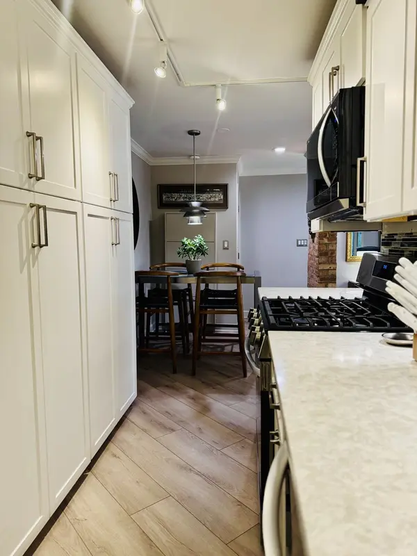 611 W Patterson AVE #317, Chicago, IL 60613