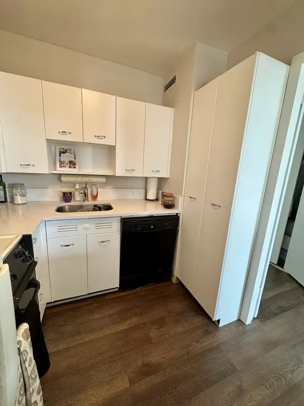 1255 N Sandburg TER #405E, Chicago, IL 60610