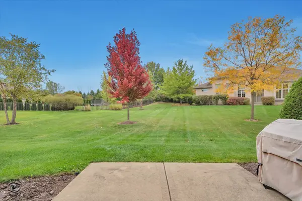 21790 LONDON BRIDGE DR, Mokena, IL 60448