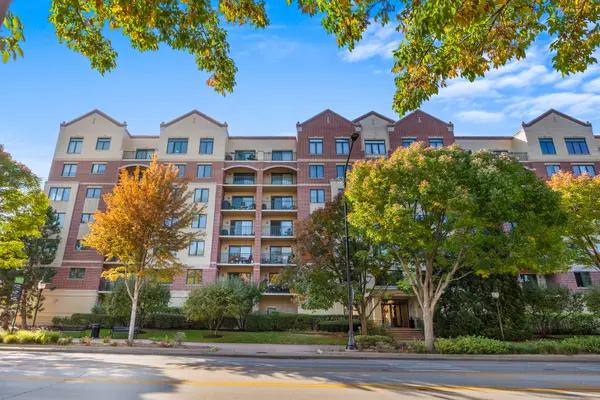 20 S MAIN ST #301, Mount Prospect, IL 60056