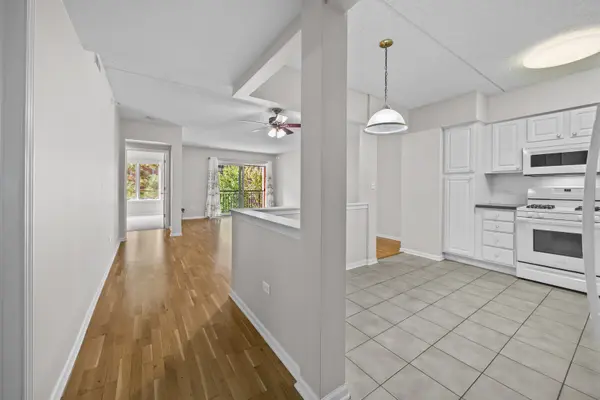 20 S MAIN ST #301, Mount Prospect, IL 60056