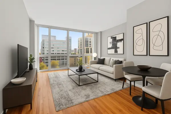 1845 S Michigan AVE #808, Chicago, IL 60616