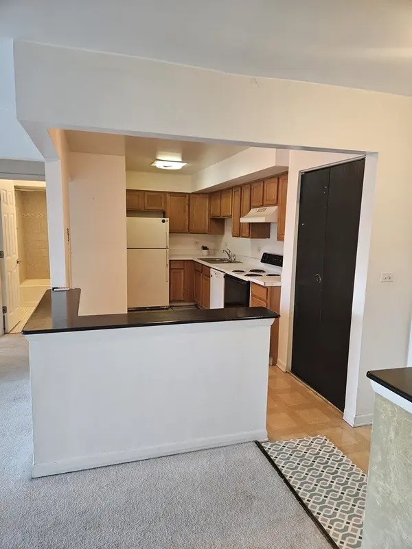 2226 S Goebbert RD S #473, Arlington Heights, IL 60005