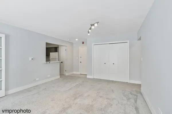 707 E Falcon DR #C207, Arlington Heights, IL 60005