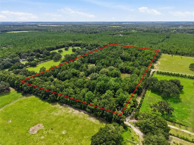 SE 207 CT, Morriston, FL 32668
