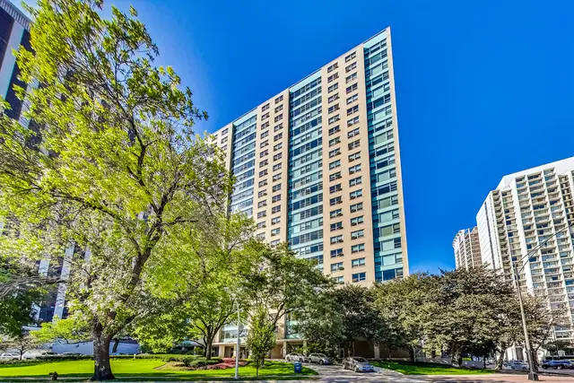 3180 N Lake Shore DR #2E, Chicago, IL 60657