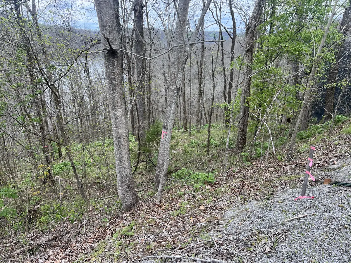 132 Lakeview Dr, Smithville, TN 37166