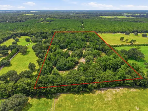 SE 207 CT, Morriston, FL 32668