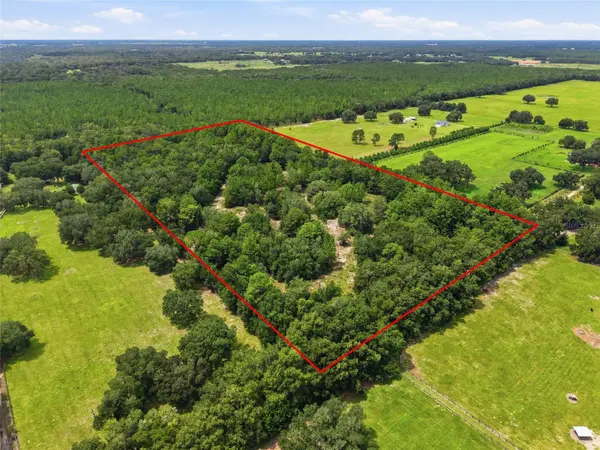 SE 207 CT, Morriston, FL 32668